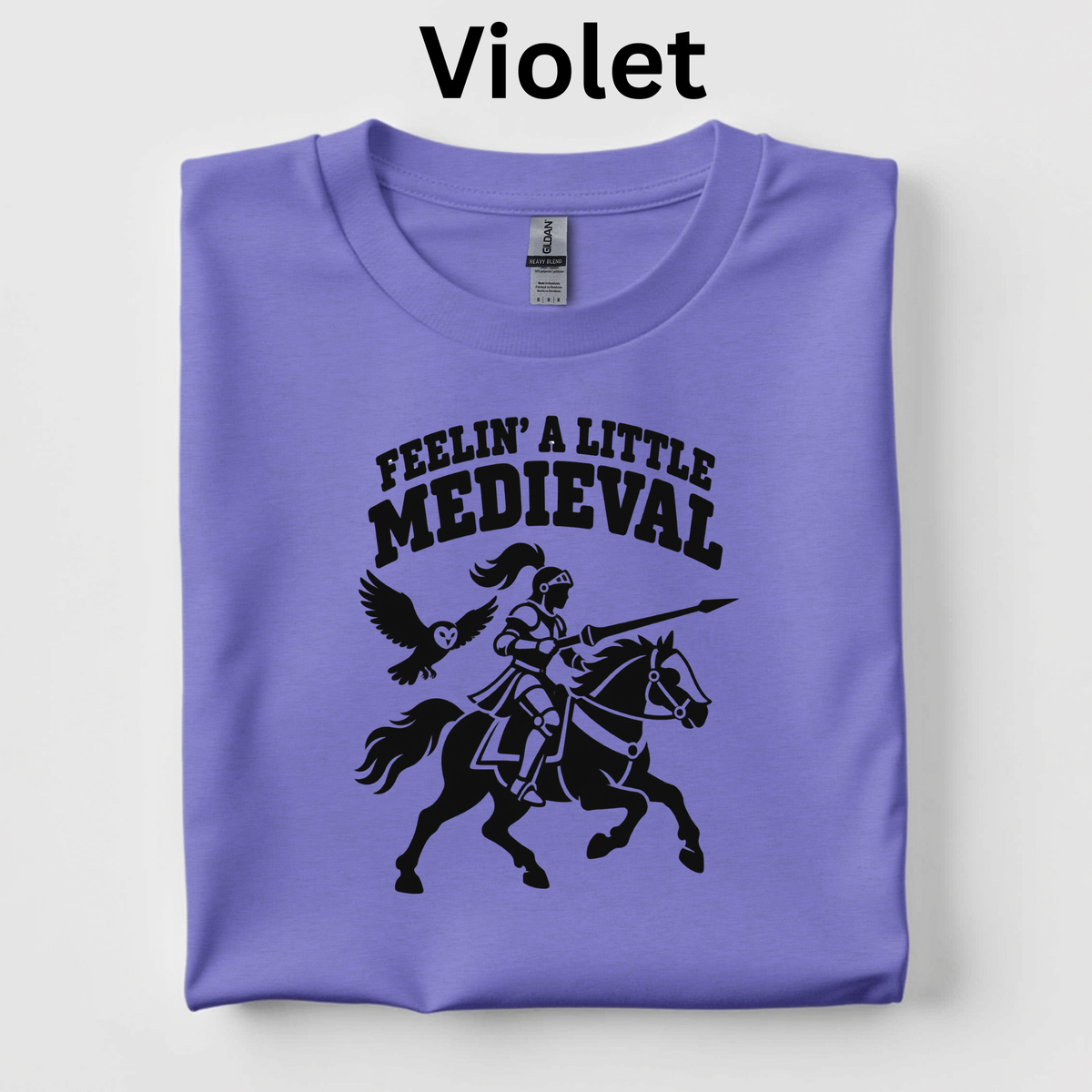 Feelin’ a Little Medieval Teacher Shirt | Humorous Knight T-Shirt | Middle Ages History Classroom Tee