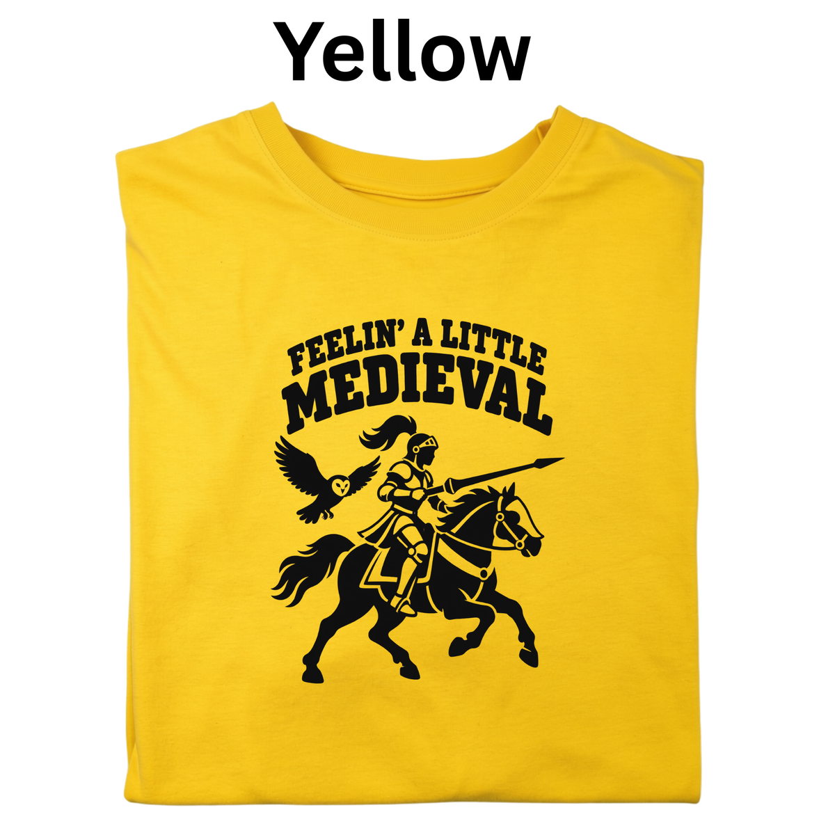 Feelin’ a Little Medieval Teacher Shirt | Humorous Knight T-Shirt | Middle Ages History Classroom Tee