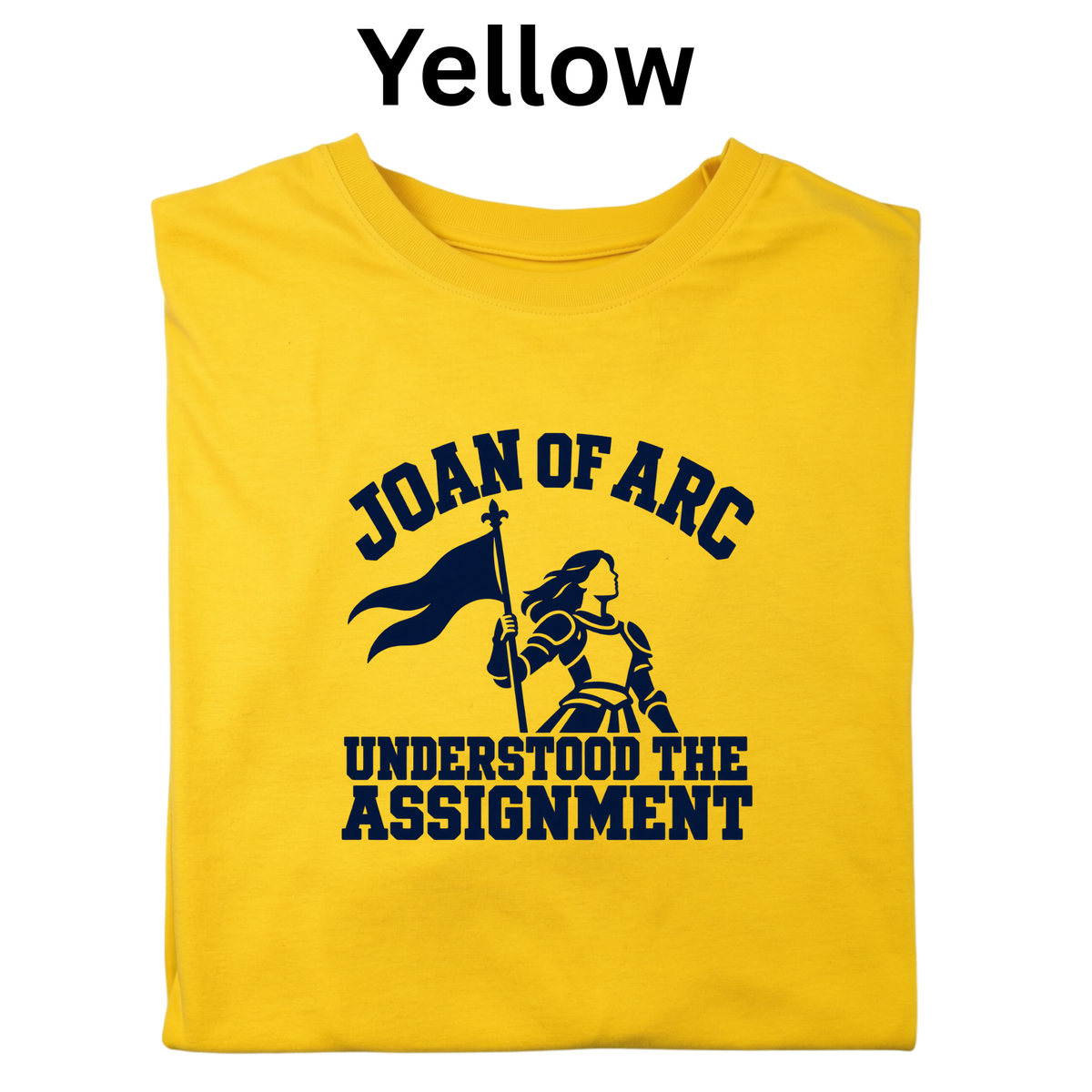 Joan of Arc Understood the Assignment T-Shirt | 4th Grade CKLA Middle Ages Teacher Shirt | Medieval History Tee